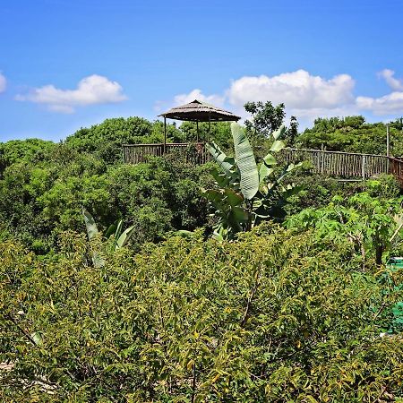 Kosi Bay Lodge Manguzi Eksteriør bilde
