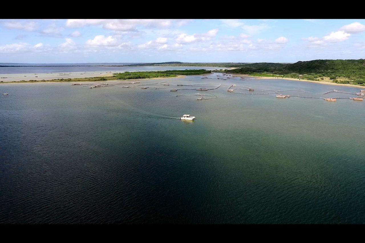 Kosi Bay Lodge Manguzi Eksteriør bilde